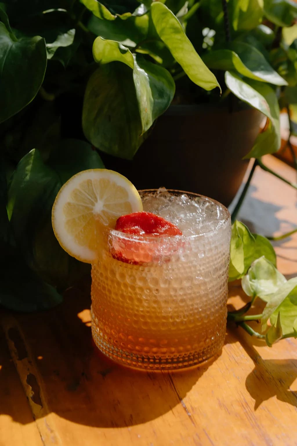 lemon-strawberry-cocktail-sunlit-pothos-plant.jpg